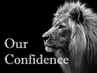 Our Confidence