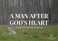 Studies in the Life of David